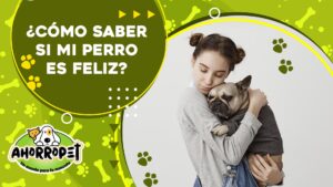 Lee más sobre el artículo ¿Como saber si mi perro es feliz?