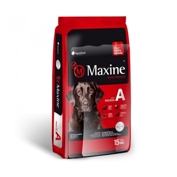 MAXINE ADULTO 21  kg