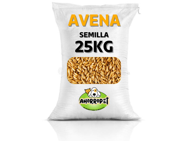 SEMILLA DE AVENA 20KG