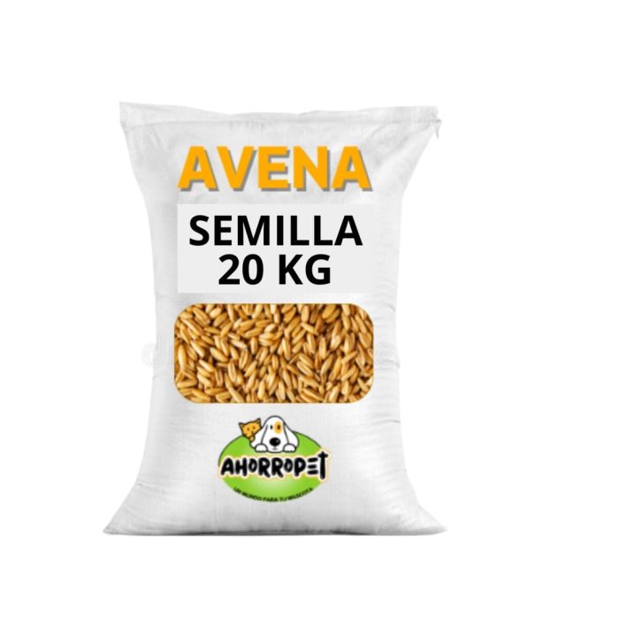 SEMILLA DE AVENA PELADA  20KG