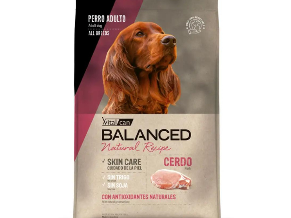 VITAL CAN  ADULTO BALANCED NATURAL RECIPE CERDO 15Kg