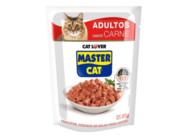 SACHETS MASTERCAT CARNE X20 UNID