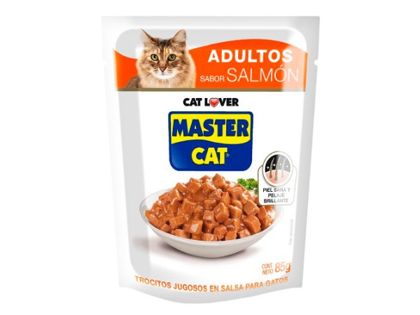 SACHETS MASTERCAT SALMÓN X20 UNID