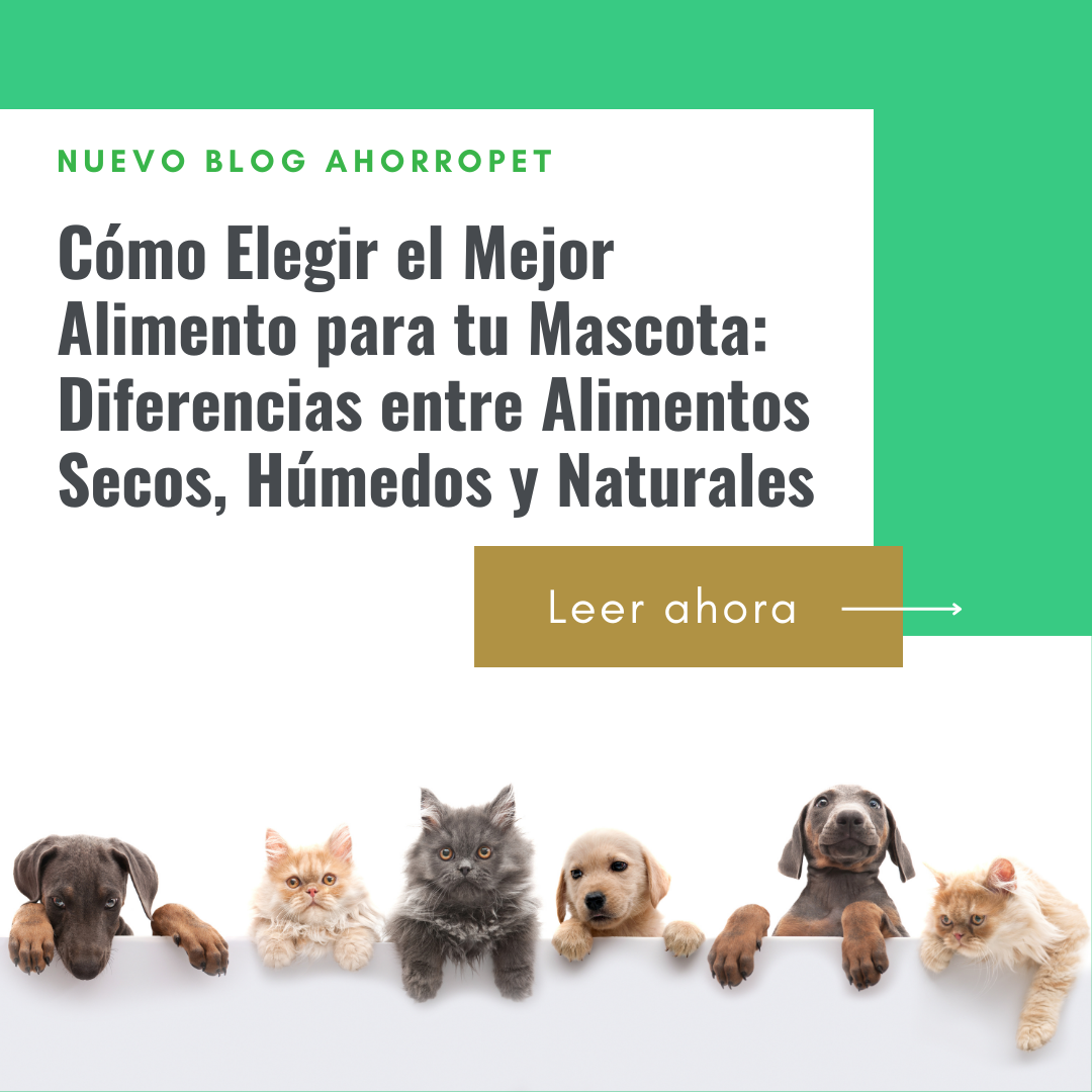 Lee más sobre el artículo Cómo Elegir el Mejor Alimento para tu Mascota: Diferencias entre Alimentos Secos, Húmedos y Naturales