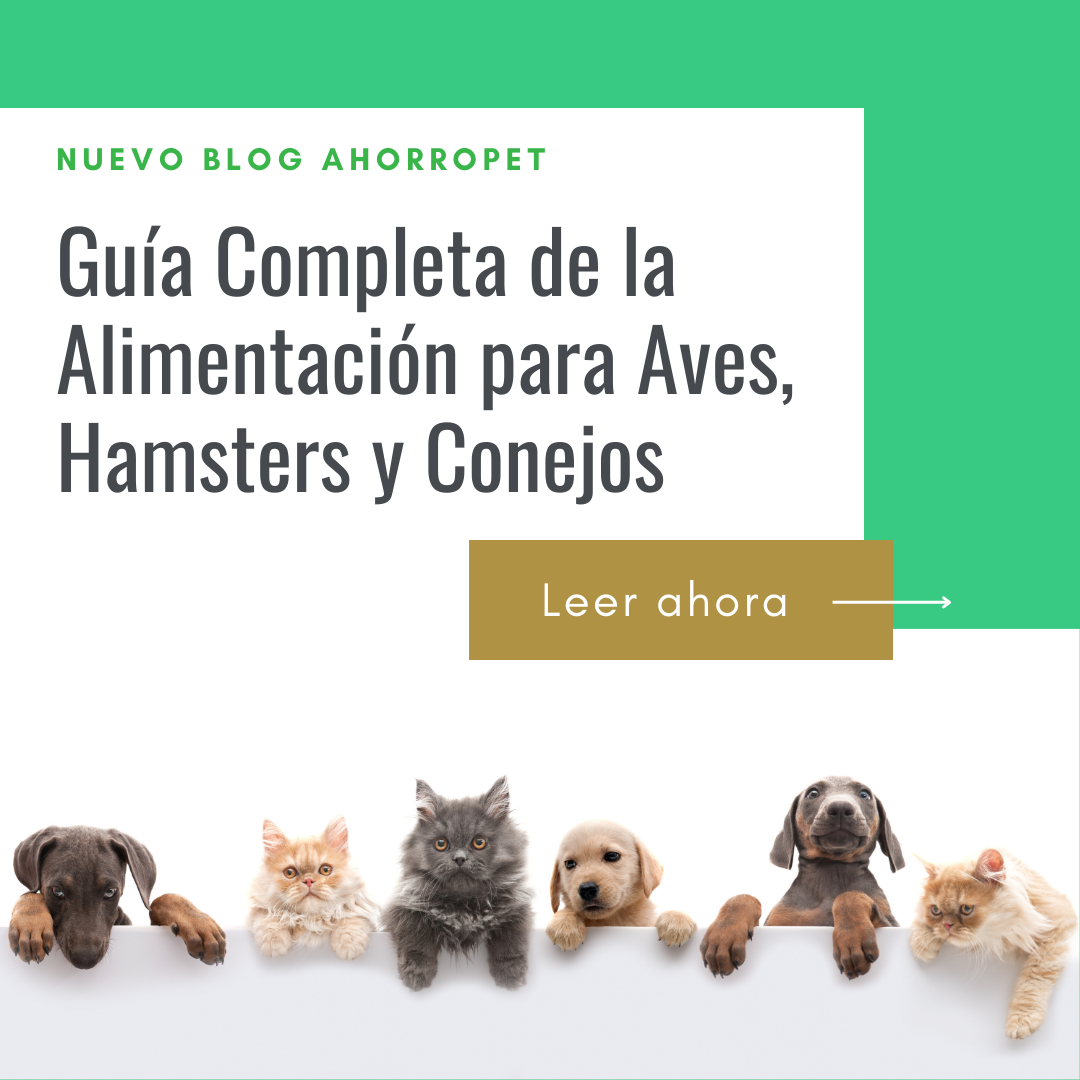 En este momento estás viendo Guía Completa de la Alimentación para Aves, Hamsters y Conejos