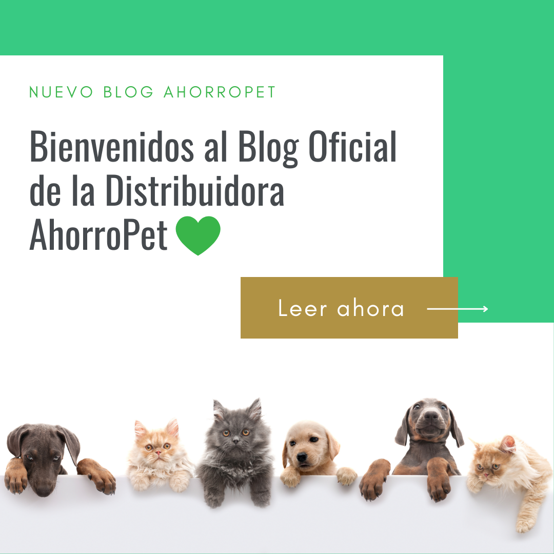 En este momento estás viendo Bienvenidos al Blog de AhorroPet 💚🐾