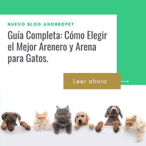 Lee más sobre el artículo Guía Completa: Cómo Elegir el Mejor Arenero y Arena para Gatos.