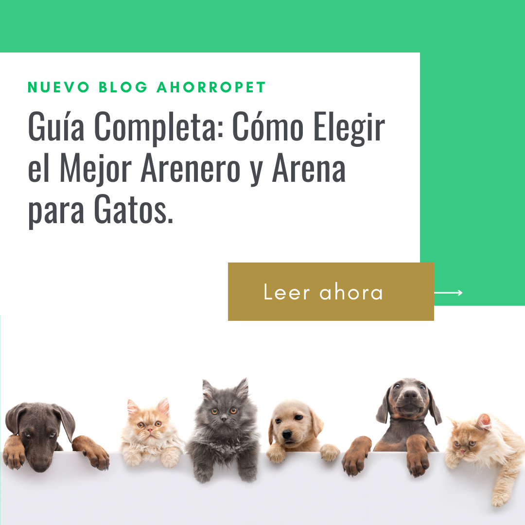 En este momento estás viendo Guía Completa: Cómo Elegir el Mejor Arenero y Arena para Gatos.