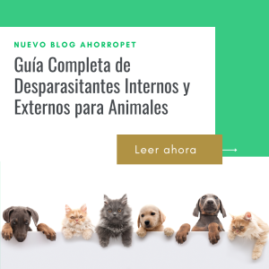 Lee más sobre el artículo Guía Completa de Desparasitantes Internos y Externos para Animales