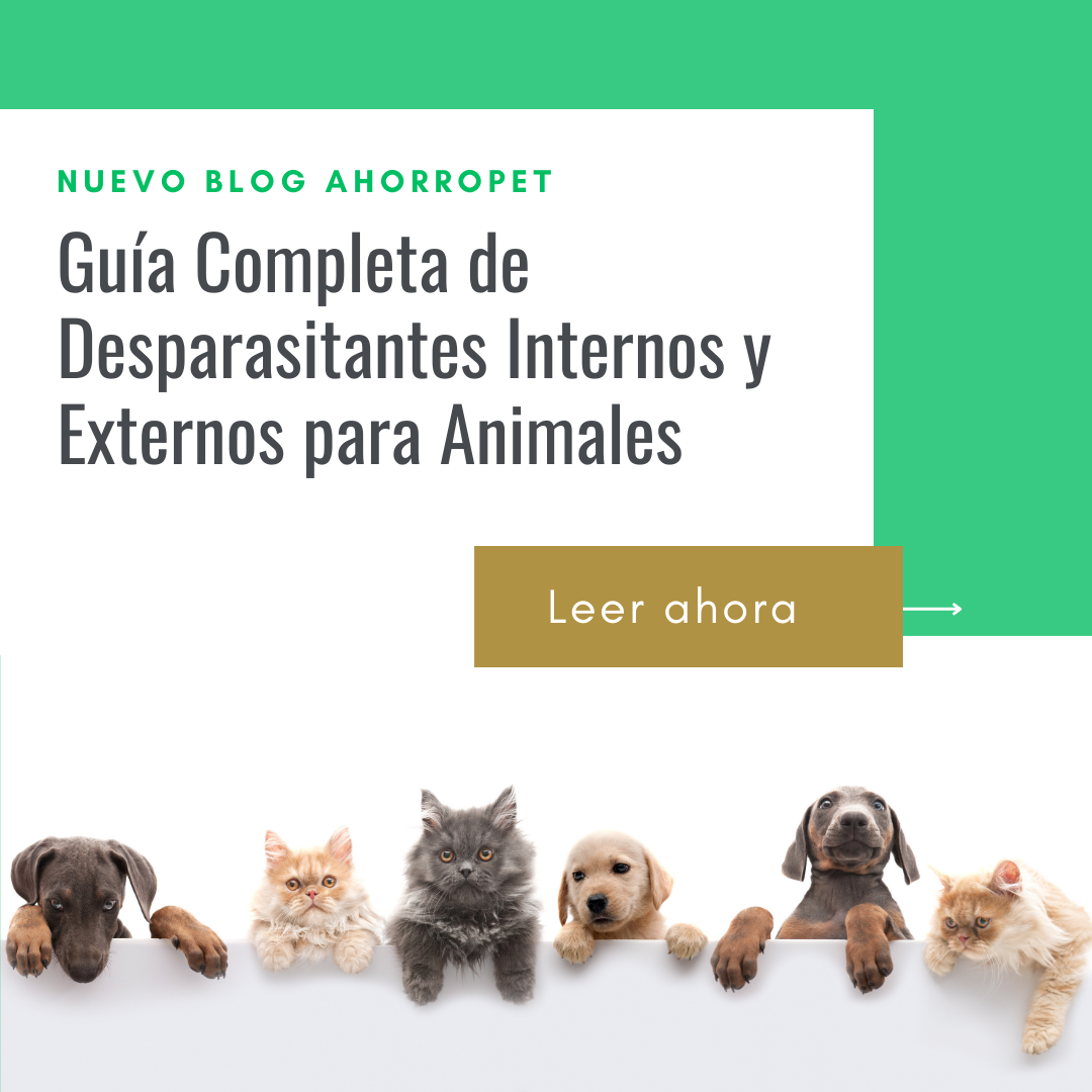 En este momento estás viendo Guía Completa de Desparasitantes Internos y Externos para Animales