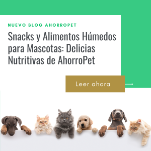 Lee más sobre el artículo Snacks y Alimentos Húmedos para Mascotas: Delicias Nutritivas de AhorroPet