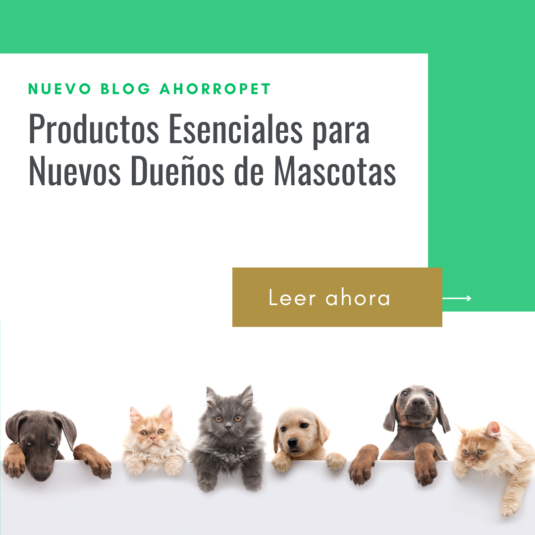 Lee más sobre el artículo Productos Esenciales para Nuevos Dueños de Mascotas