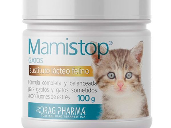 MAMISTOP LECHE PARA GATOS 100GR