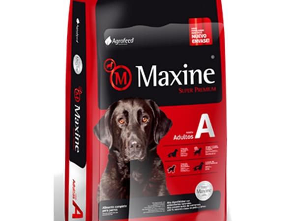 Maxine alimento para perros adultos 25kg