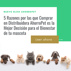 Lee más sobre el artículo 5 Razones por las que Comprar en Distribuidora AhorroPet es la Mejor Decisión para el Bienestar de tu mascota