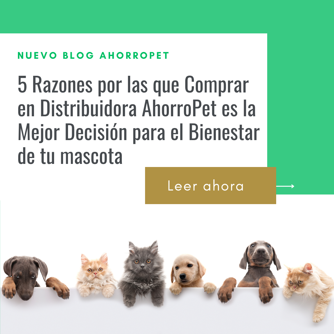 Lee más sobre el artículo 5 Razones por las que Comprar en Distribuidora AhorroPet es la Mejor Decisión para el Bienestar de tu mascota