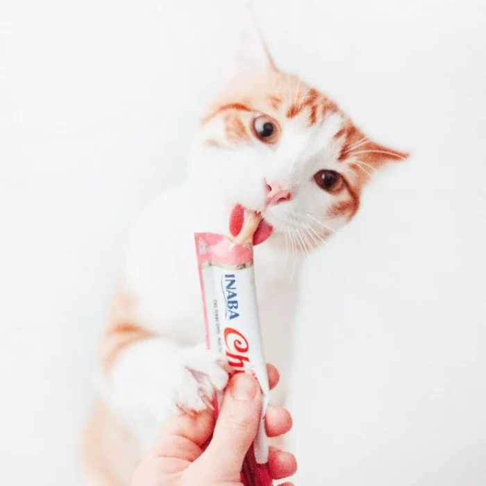 Churu snack para gatos paquete x 6 unidades