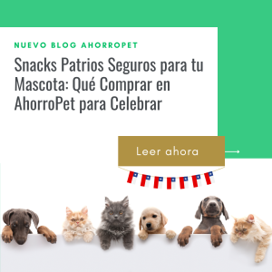 Lee más sobre el artículo Snacks Patrios Seguros para tu Mascota: Qué Comprar en AhorroPet para Celebrar 🐾