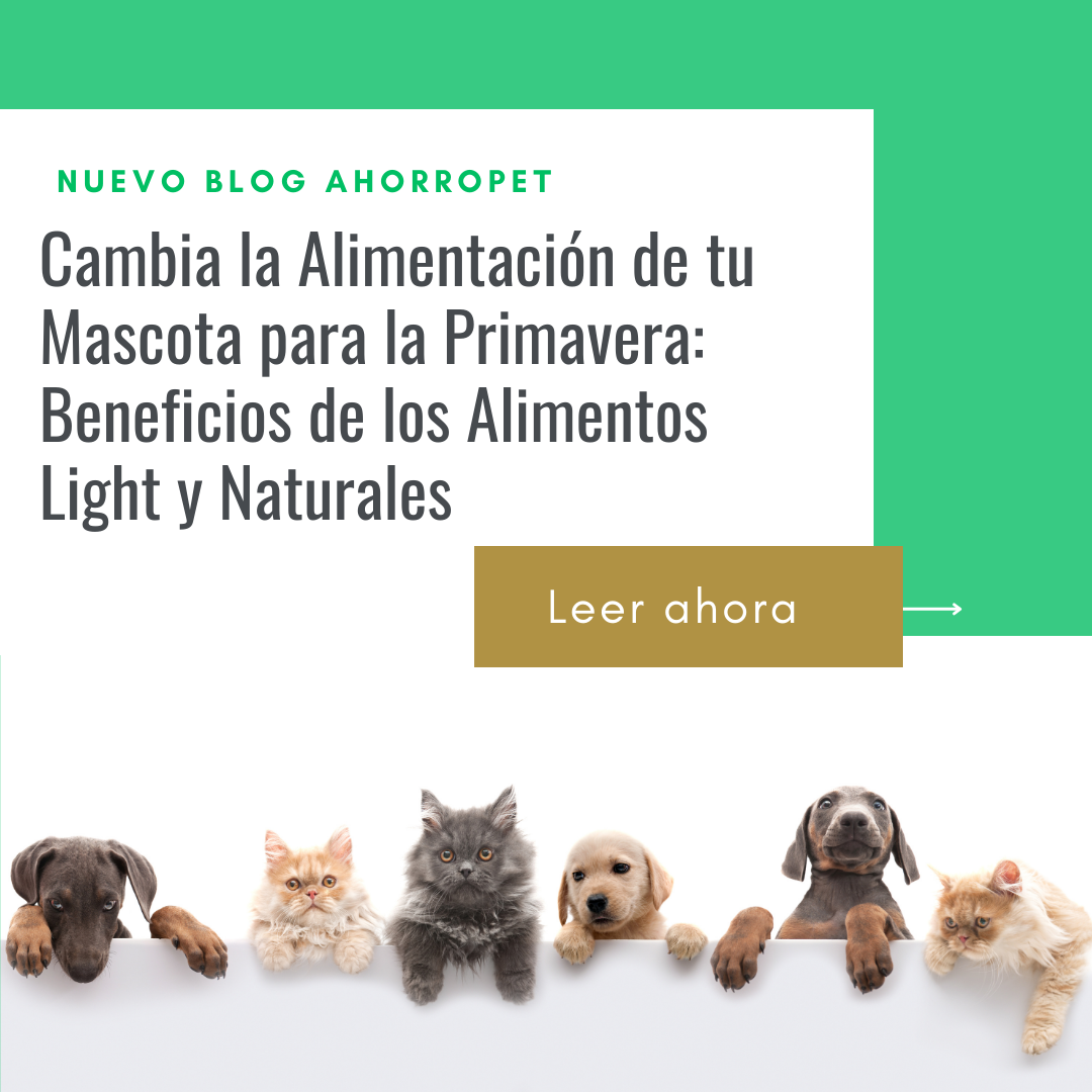 En este momento estás viendo Cambia la Alimentación de tu Mascota para la Primavera: Beneficios de los Alimentos Light y Naturales