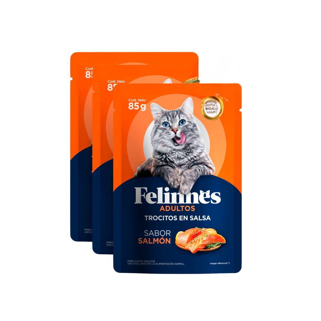 Sin título (1080 x 1080 px) (26) (1) Sachet Felinnes Salmón 2 cajas de 12 unidades cada una