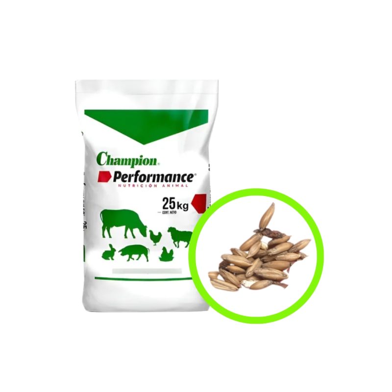 AVENA CHAMPION 25 KILOS